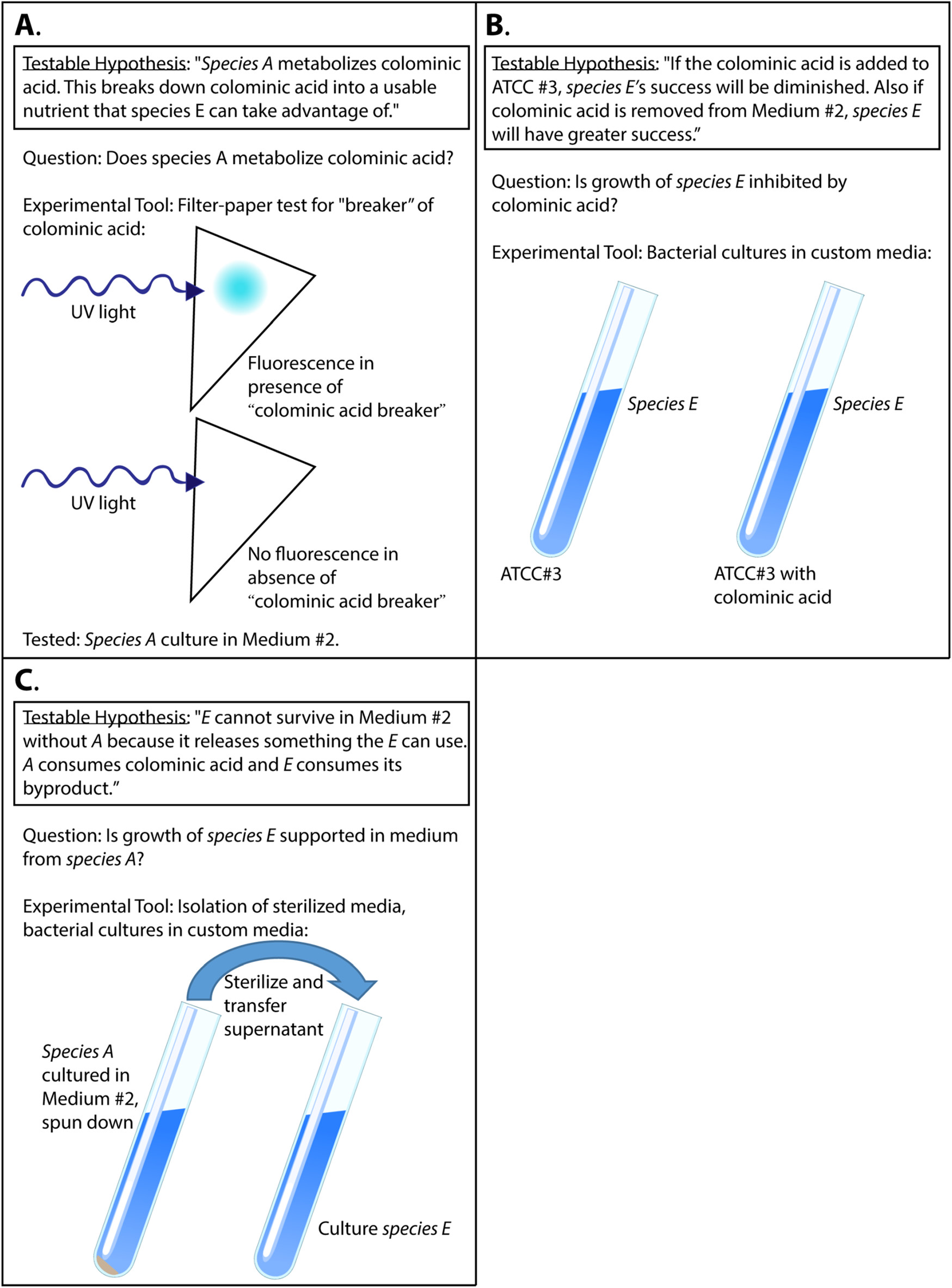 Authentic Inquiry through Modeling in Biology (AIM-Bio): An