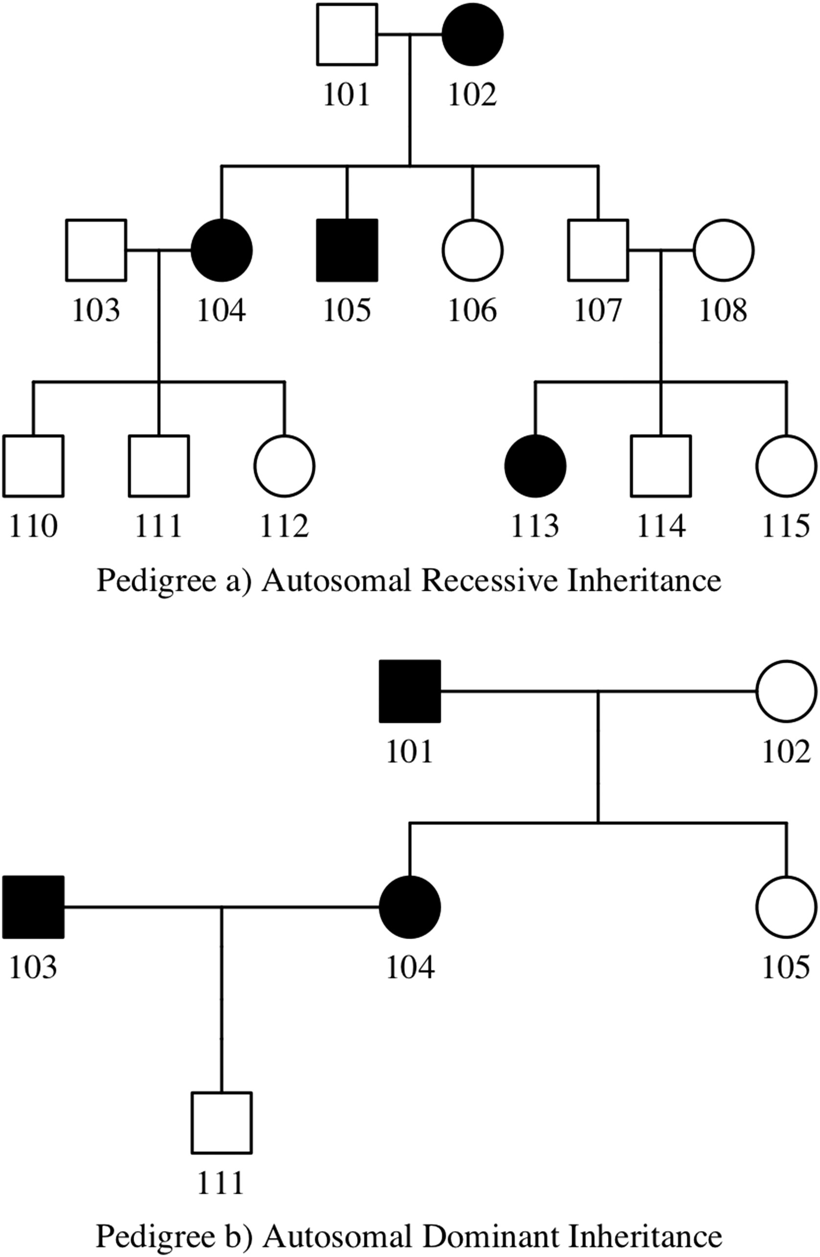 Secondary Students’ Reasoning on Pedigree Problems | CBE—Life Sciences ...